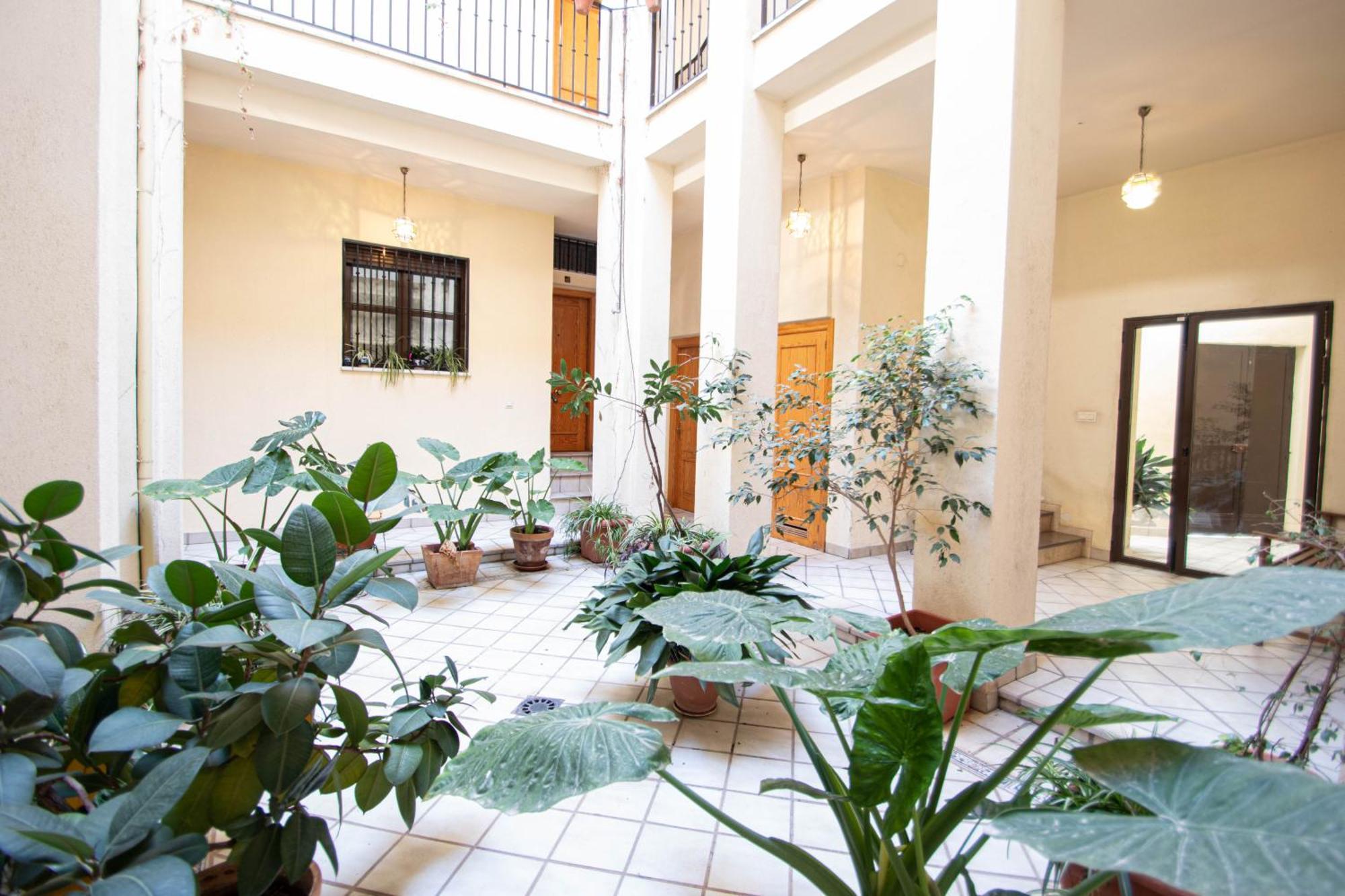Elvira 54 Apartment 格拉纳达 外观 照片