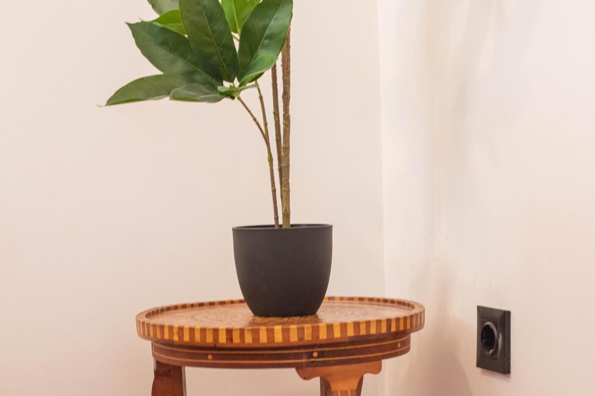 Elvira 54 Apartment 格拉纳达 外观 照片