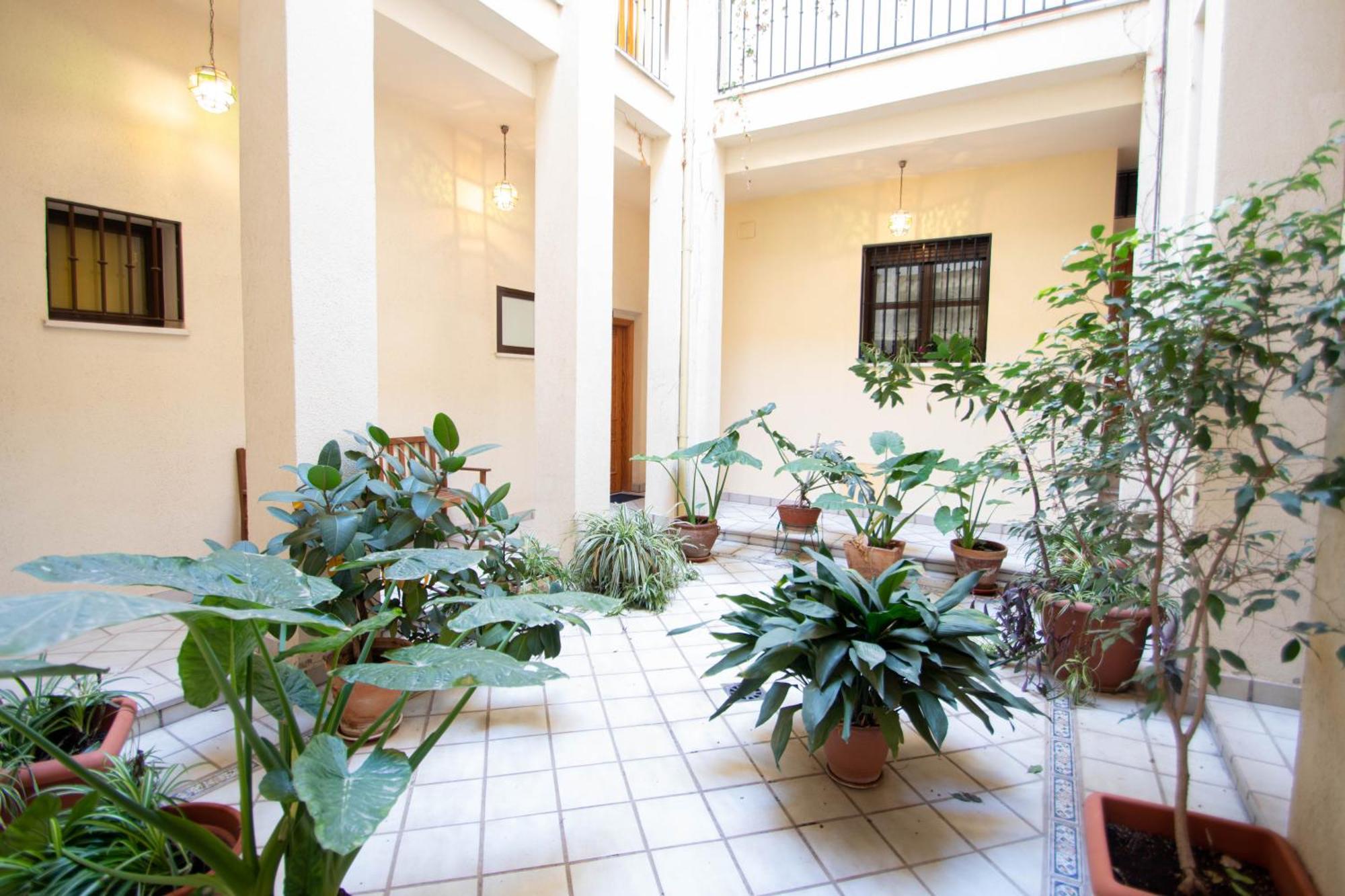 Elvira 54 Apartment 格拉纳达 外观 照片